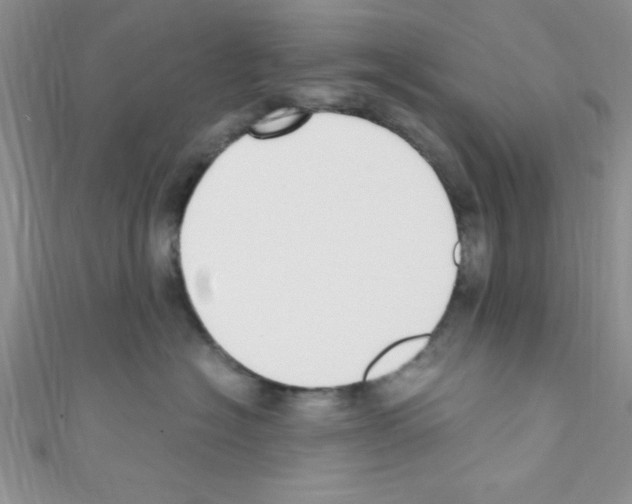 X0000110730574200907241230