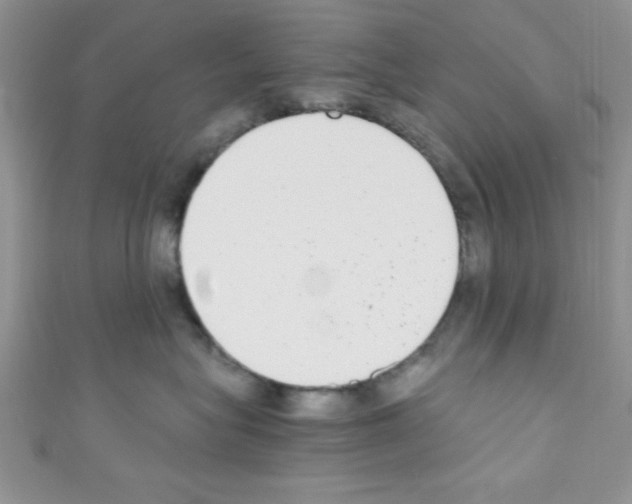 X0000110730575200907241230