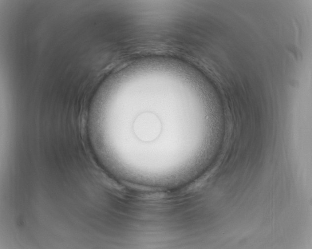 X0000110730576200907241230