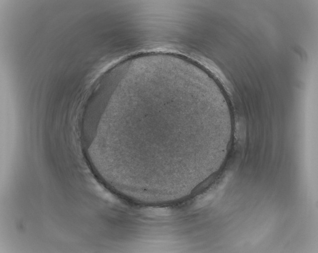X0000110730577200907241229