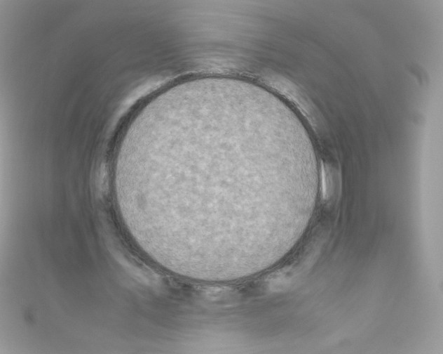 X0000110730579200907241229