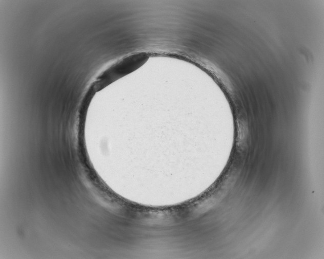 X0000110730580200907241229