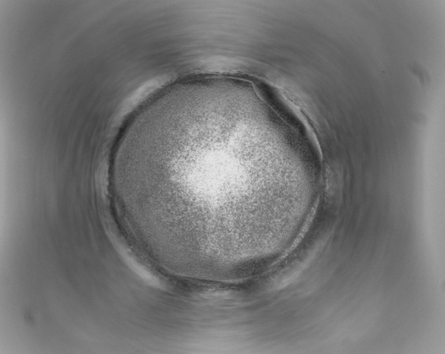 X0000110730581200907241229
