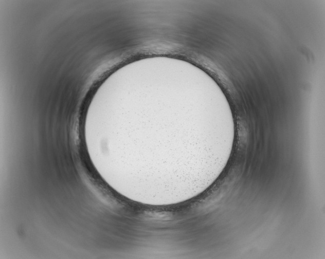 X0000110730582200907241229