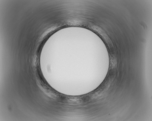 X0000110730583200907241229