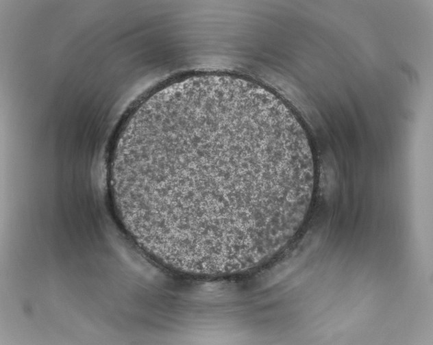 X0000110730584200907241229