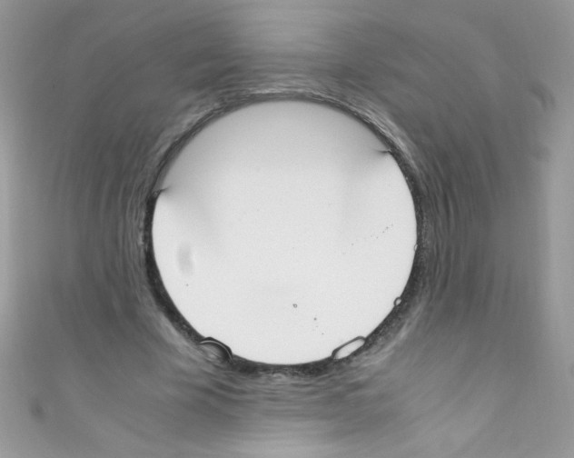 X0000110730585200907241229