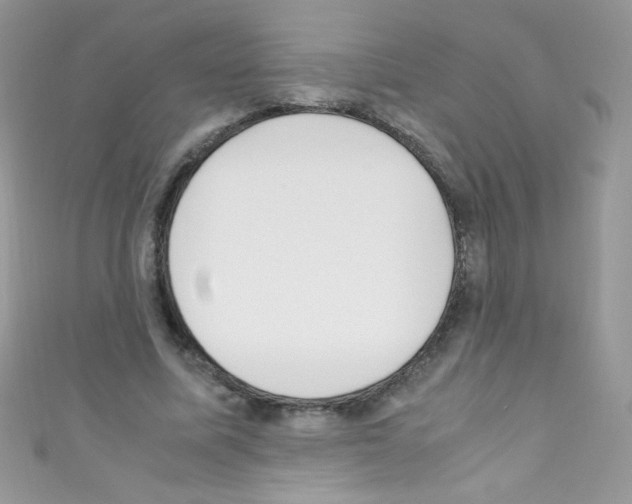 X0000110730587200907241229
