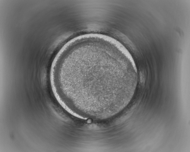 X0000110730588200907241229