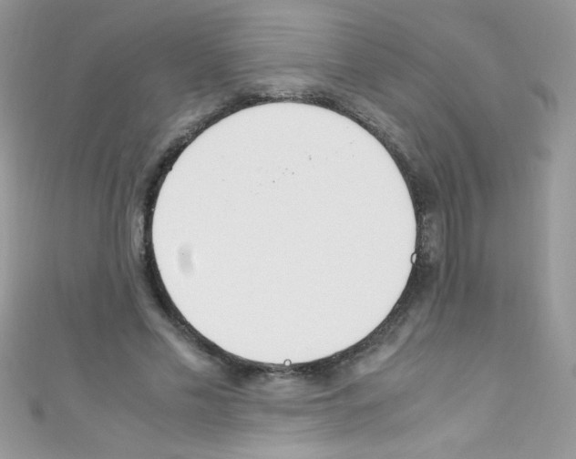 X0000110730589200907241229