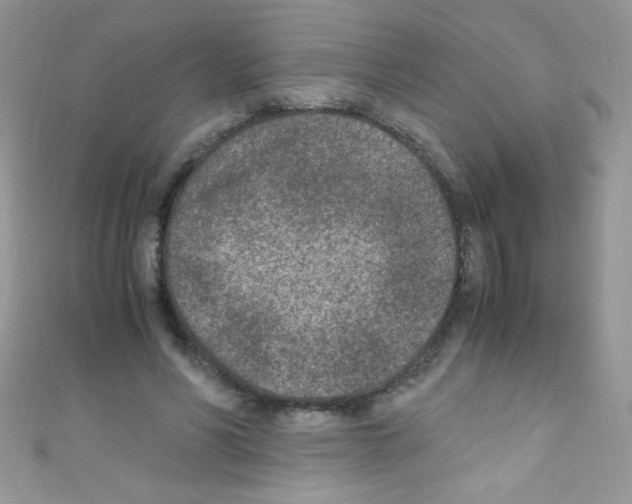 X0000110730590200907241229