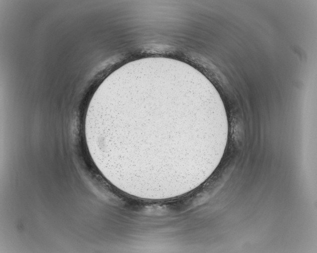 X0000110730591200907241229