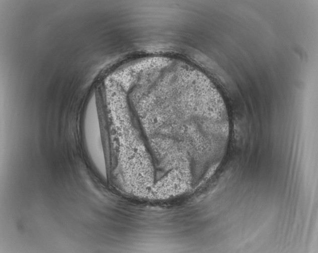 X0000110730592200907241229