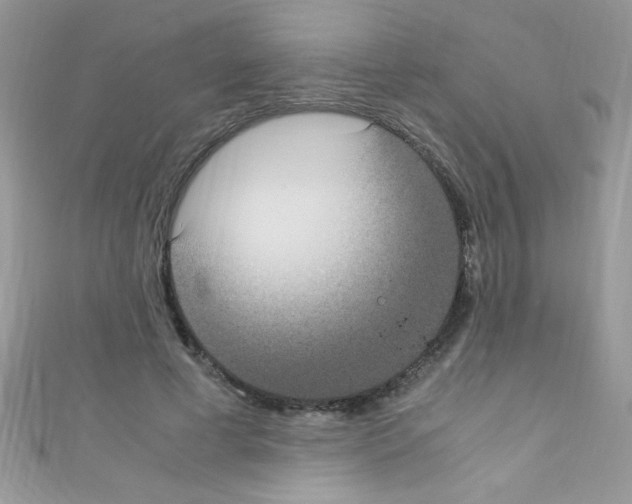 X0000110730593200907241229