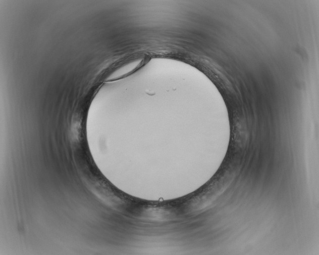 X0000110730596200907241229
