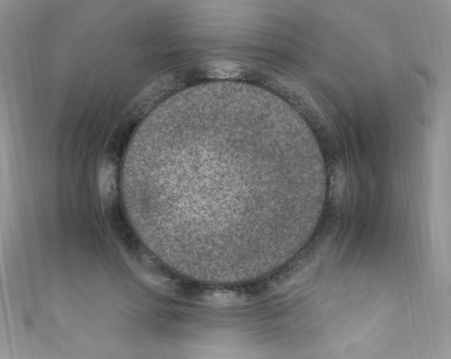 X0000110730598200907241229
