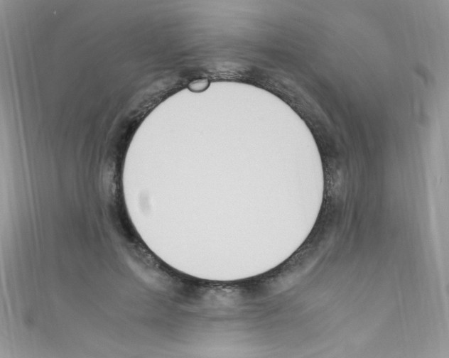 X0000110730599200907241229