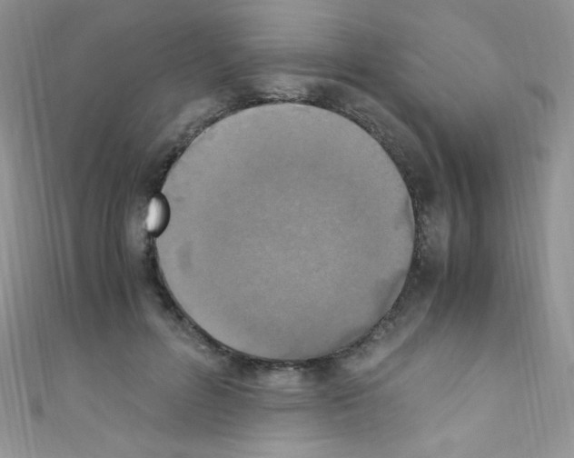 X0000110730600200907241229