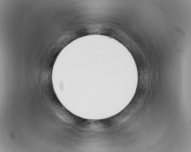 X0000110730601200907241229