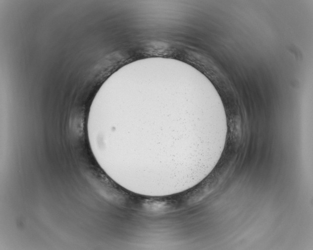 X0000110730602200907241229
