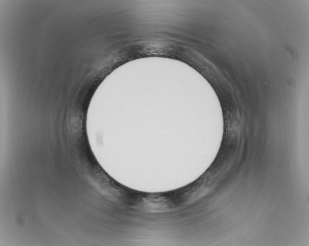 X0000110730603200907241229