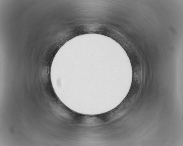 X0000110730605200907241229