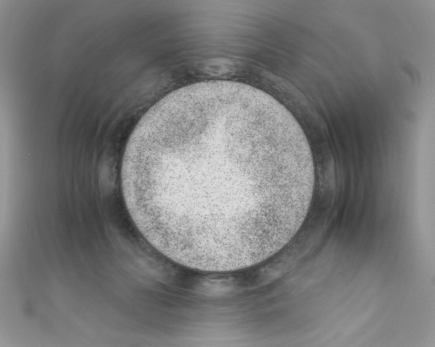 X0000110730606200907241229