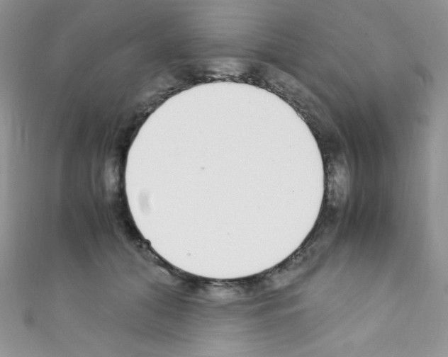 X0000110730608200907241229