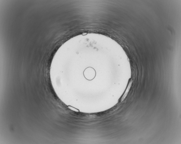 X0000110730609200907241229