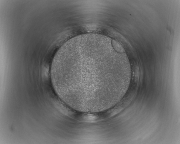 X0000110730610200907241229