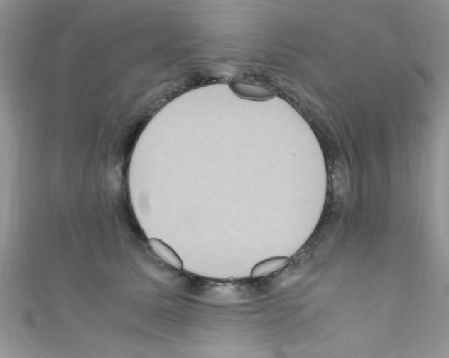 X0000110730611200907241229
