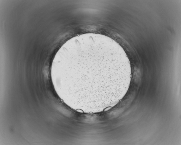 X0000110730612200907241229
