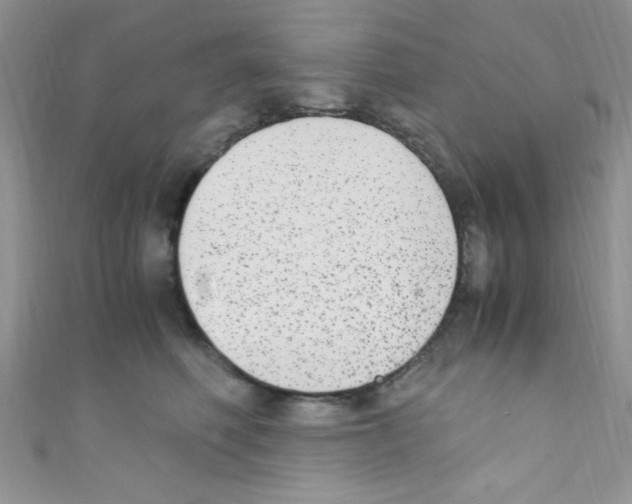 X0000110730614200907241229