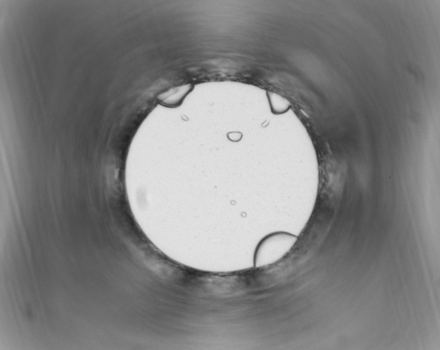 X0000110730615200907241229