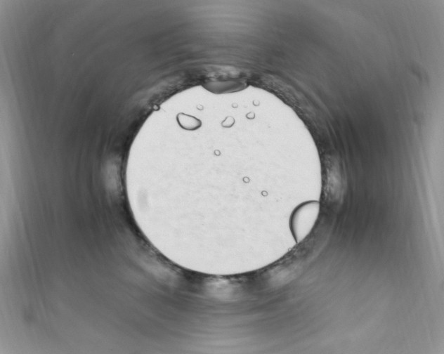 X0000110730616200907241228