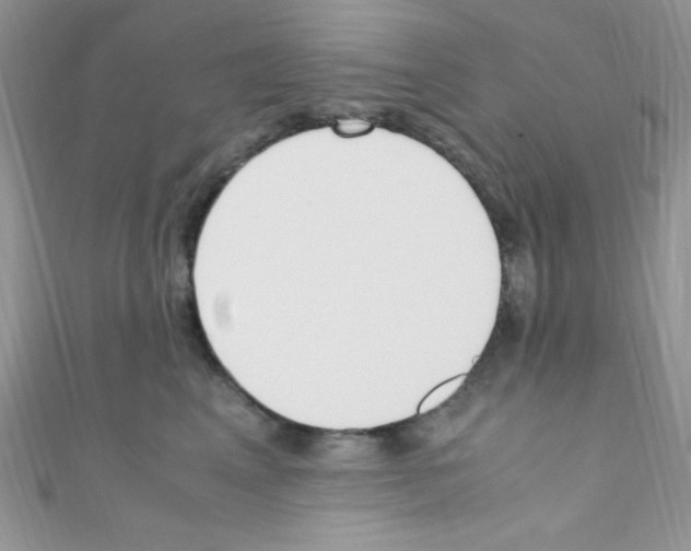 X0000110730617200907241228