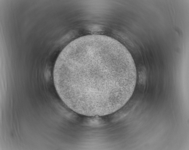 X0000110730618200907241228