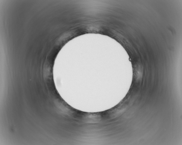 X0000110730619200907241228