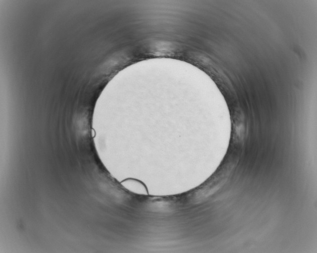 X0000110730620200907241228