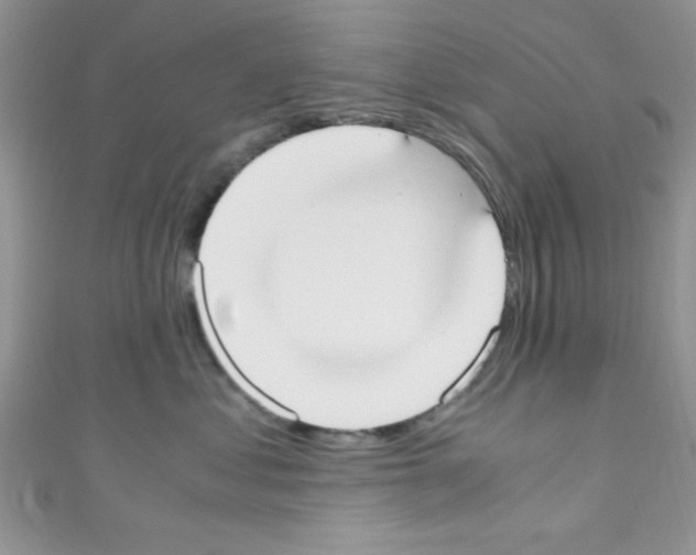 X0000110730621200907241228