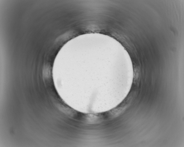 X0000110730623200907241228