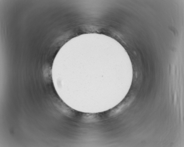 X0000110730624200907241228