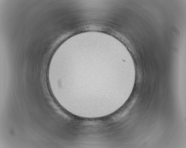 X0000110730625200907241228