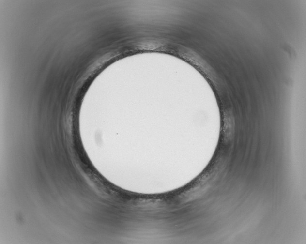 X0000110730626200907241228