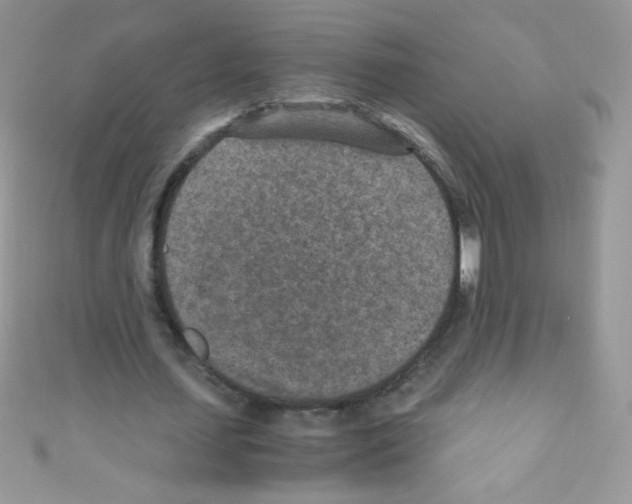 X0000110730627200907241228