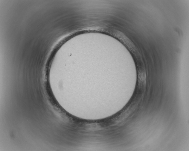 X0000110730628200907241228
