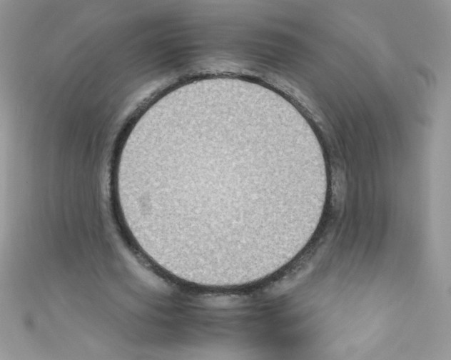 X0000110730629200907241228