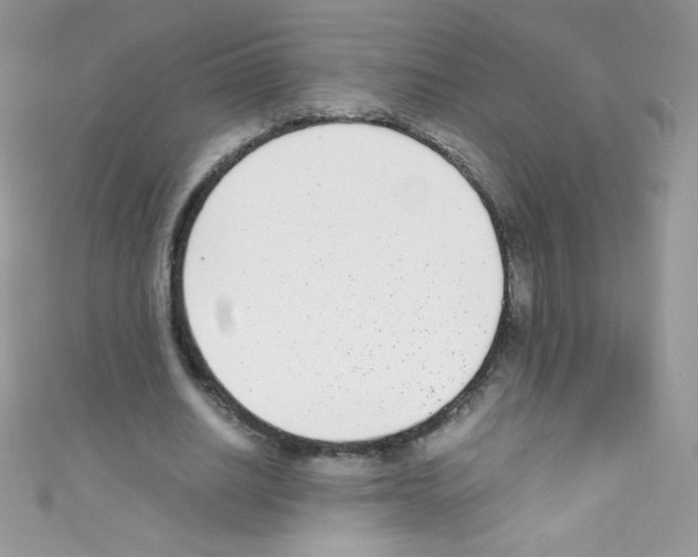 X0000110730630200907241228
