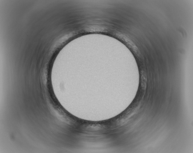 X0000110730631200907241228