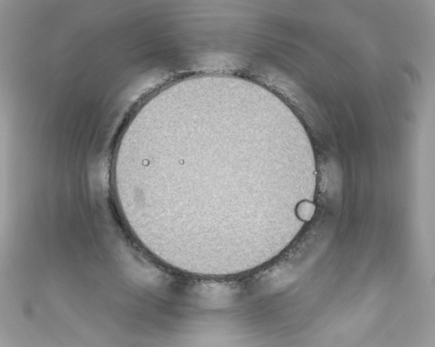 X0000110730632200907241228